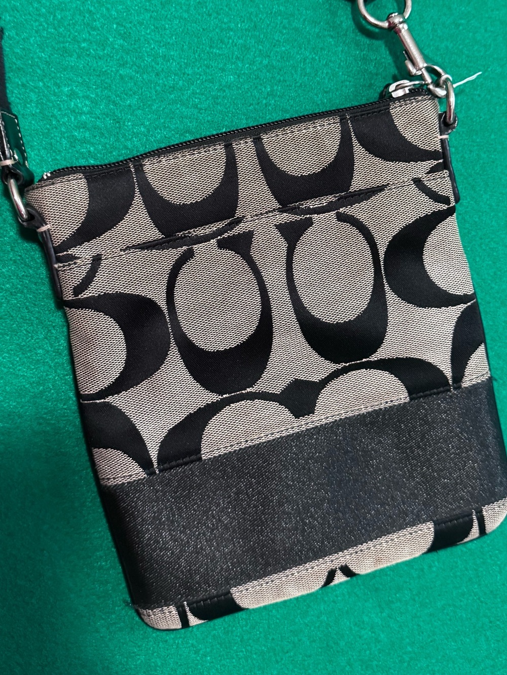 Coach Y2K Signature Crossbody Pouch